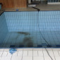 IMG 1478 w-85x85