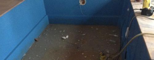 IMG 2343 w-960x375